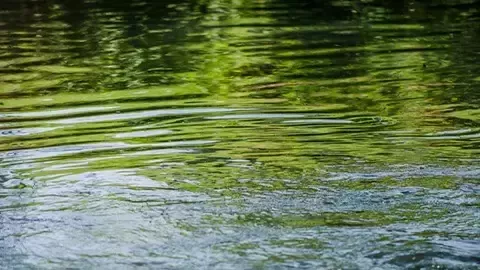 Безбедност и квалитет на водата