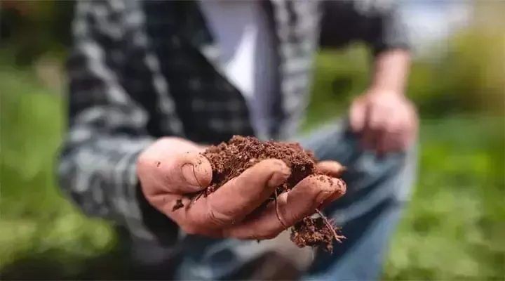 Здравје на почвата
